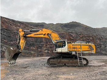 Máy xúc LIEBHERR