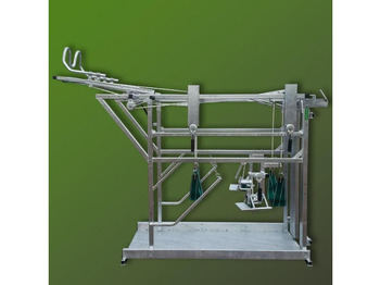 : ảnh tiêu đề trên trang