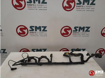 Cáp/ Dây nịt DAF