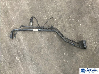 Cabin và nội thất DAF