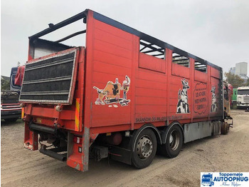 Xe tải thùng lửng/ Phẳng Mercedes-Benz Antos 2543L 6X2: hình 3