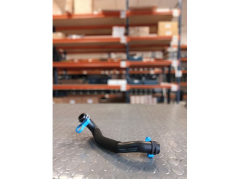 : ảnh tiêu đề trên trang