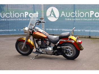 Xe máy Harley-Davidson Fat Boy Softail: hình 3 Xe máy Harley-Davidson Fat Boy Softail: hình 3