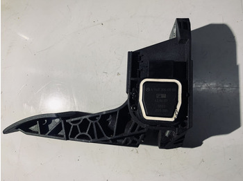 : ảnh tiêu đề trên trang