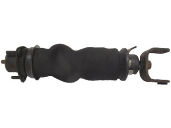 Hệ thống treo cho Xe tải SUSPENSION BUCKET REAR SCANIA CAB: hình 1
