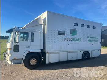 Xe tải chở ngựa VOLVO FL