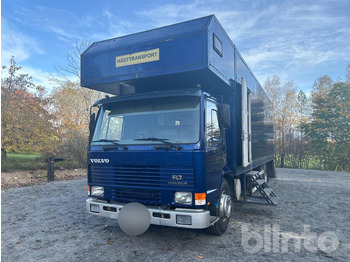 Xe tải chở ngựa VOLVO FL7
