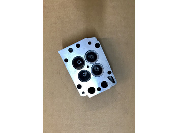 Đầu xilanh TESTATA MAN D2866 - D2876 - 4V: hình 4