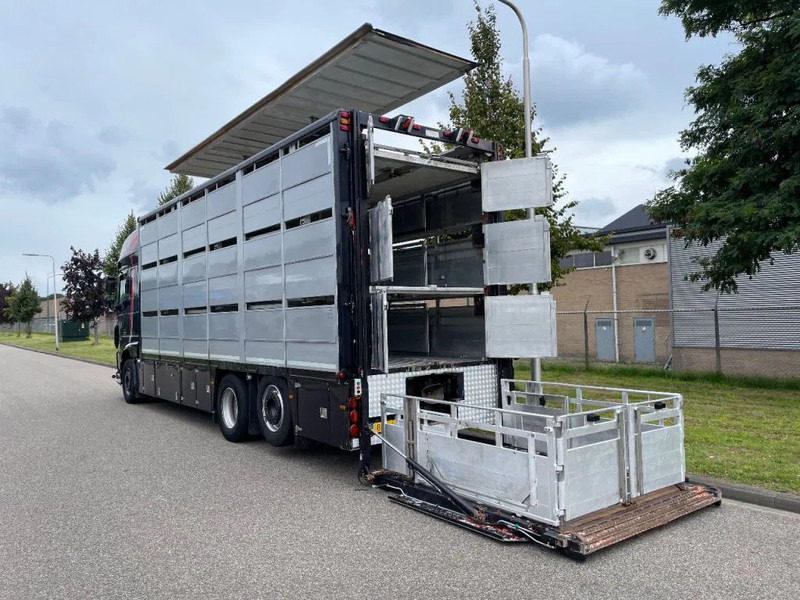 DAF XF 460 2017 berdex 3 lagen varkens - Xe tải chở gia súc: hình 4 DAF XF 460 2017 berdex 3 lagen varkens - Xe tải chở gia súc: hình 4