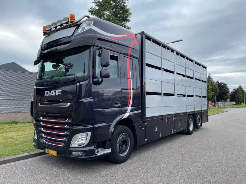 DAF XF 460 2017 berdex 3 lagen varkens - Xe tải chở gia súc: hình 1 DAF XF 460 2017 berdex 3 lagen varkens - Xe tải chở gia súc: hình 1