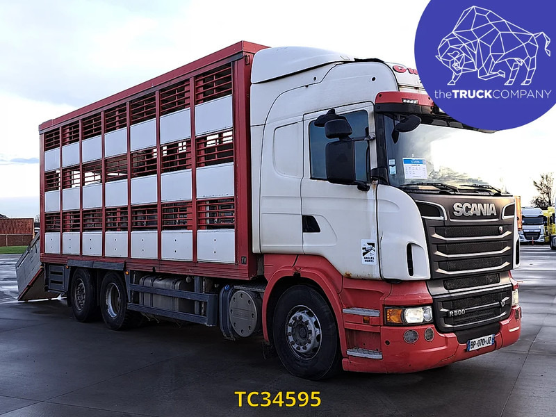 Scania R 500 - Xe tải chở gia súc: hình 2 Scania R 500 - Xe tải chở gia súc: hình 2