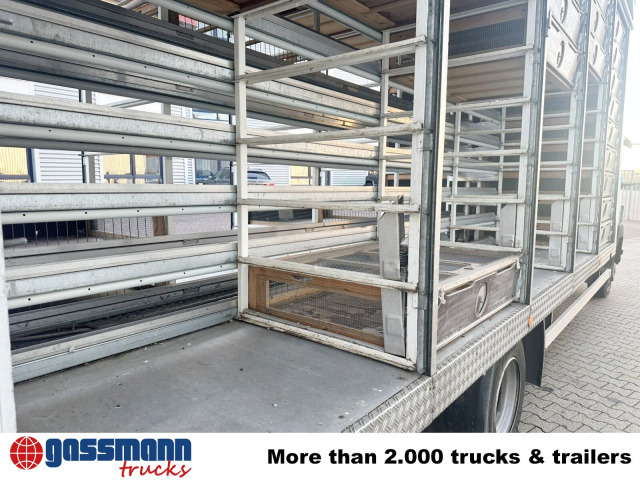 Mercedes-Benz LK 817 4x2, Taubentransporter - Xe tải hộp: hình 2 Mercedes-Benz LK 817 4x2, Taubentransporter - Xe tải hộp: hình 2