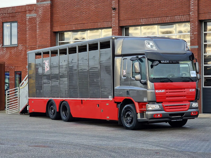 DAF CF 360 SpaceCab 6x2*4 - Menke Janzen Livestock 1 deck 20.78M2 - Steering axle - Euro 5 - Xe tải chở gia súc: hình 1 DAF CF 360 SpaceCab 6x2*4 - Menke Janzen Livestock 1 deck 20.78M2 - Steering axle - Euro 5 - Xe tải chở gia súc: hình 1