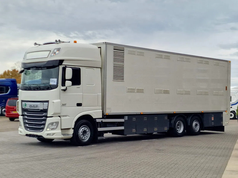 DAF XF 440 SuperSpaceCab 6x2*4 - 2 deck Closed Livestock - 40M2 - Filtersystem - Xe tải chở gia súc: hình 3 DAF XF 440 SuperSpaceCab 6x2*4 - 2 deck Closed Livestock - 40M2 - Filtersystem - Xe tải chở gia súc: hình 3