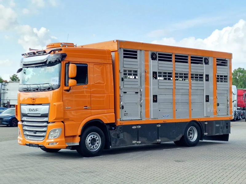 DAF XF 530 4x2 - Livestock Menke 2 deck water & ventilation - Xe tải chở gia súc: hình 5 DAF XF 530 4x2 - Livestock Menke 2 deck water & ventilation - Xe tải chở gia súc: hình 5