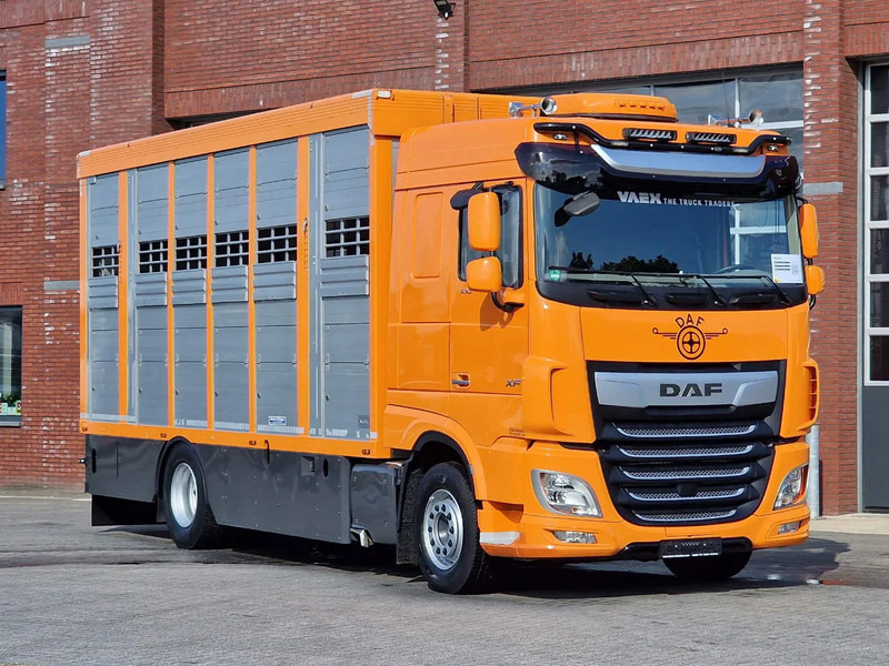 DAF XF 530 4x2 - Livestock Menke 2 deck water & ventilation - Xe tải chở gia súc: hình 3 DAF XF 530 4x2 - Livestock Menke 2 deck water & ventilation - Xe tải chở gia súc: hình 3