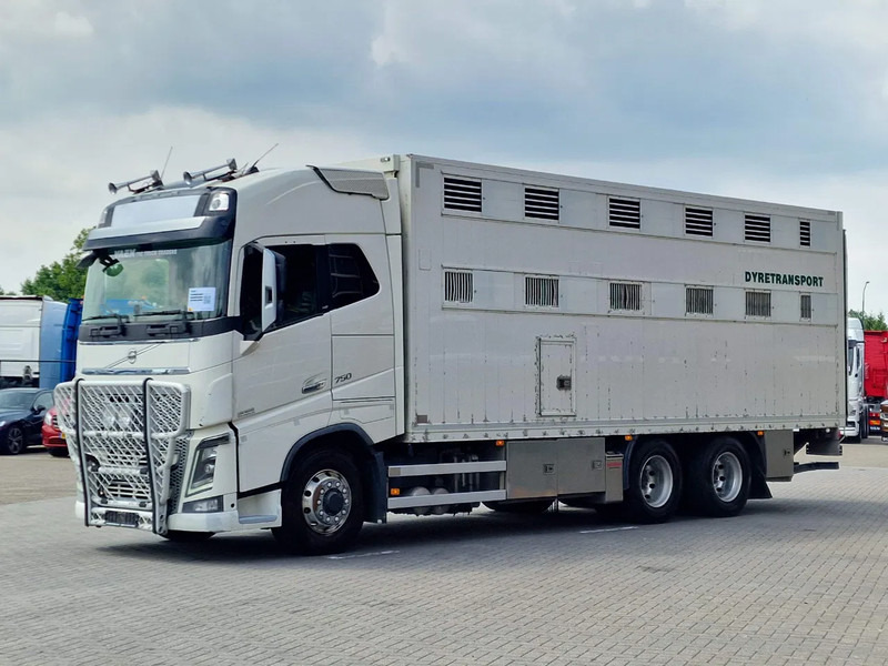 Volvo FH 16.750 6x6/6x4 2 deck livestock - Full air - VEB + - Xe tải chở gia súc: hình 5 Volvo FH 16.750 6x6/6x4 2 deck livestock - Full air - VEB + - Xe tải chở gia súc: hình 5