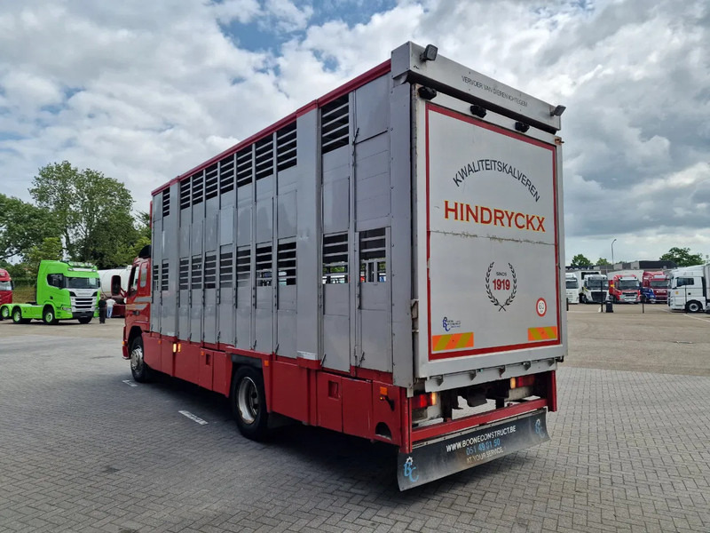 Volvo FM 250 4x- Livestock 2 deck - Lifting floors - Loadlift - Manual gearbox - Xe tải chở gia súc: hình 5 Volvo FM 250 4x- Livestock 2 deck - Lifting floors - Loadlift - Manual gearbox - Xe tải chở gia súc: hình 5