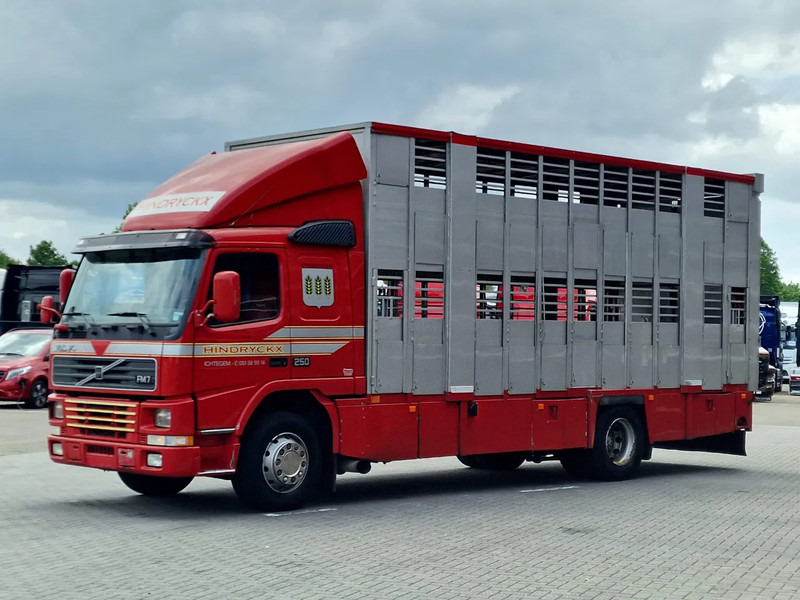 Volvo FM 250 4x- Livestock 2 deck - Lifting floors - Loadlift - Manual gearbox - Xe tải chở gia súc: hình 3 Volvo FM 250 4x- Livestock 2 deck - Lifting floors - Loadlift - Manual gearbox - Xe tải chở gia súc: hình 3