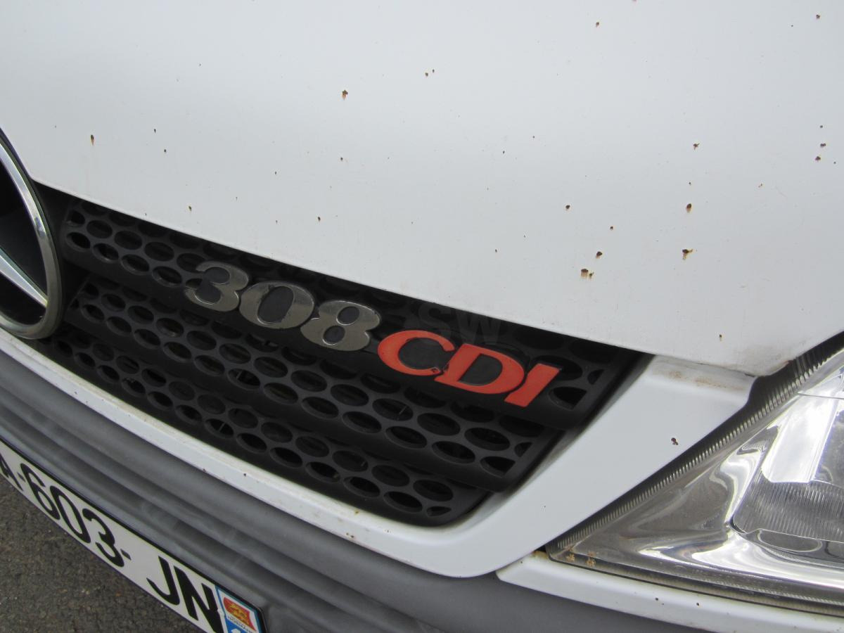 Mercedes 308D - Xe van đông lạnh: hình 2 Mercedes 308D - Xe van đông lạnh: hình 2