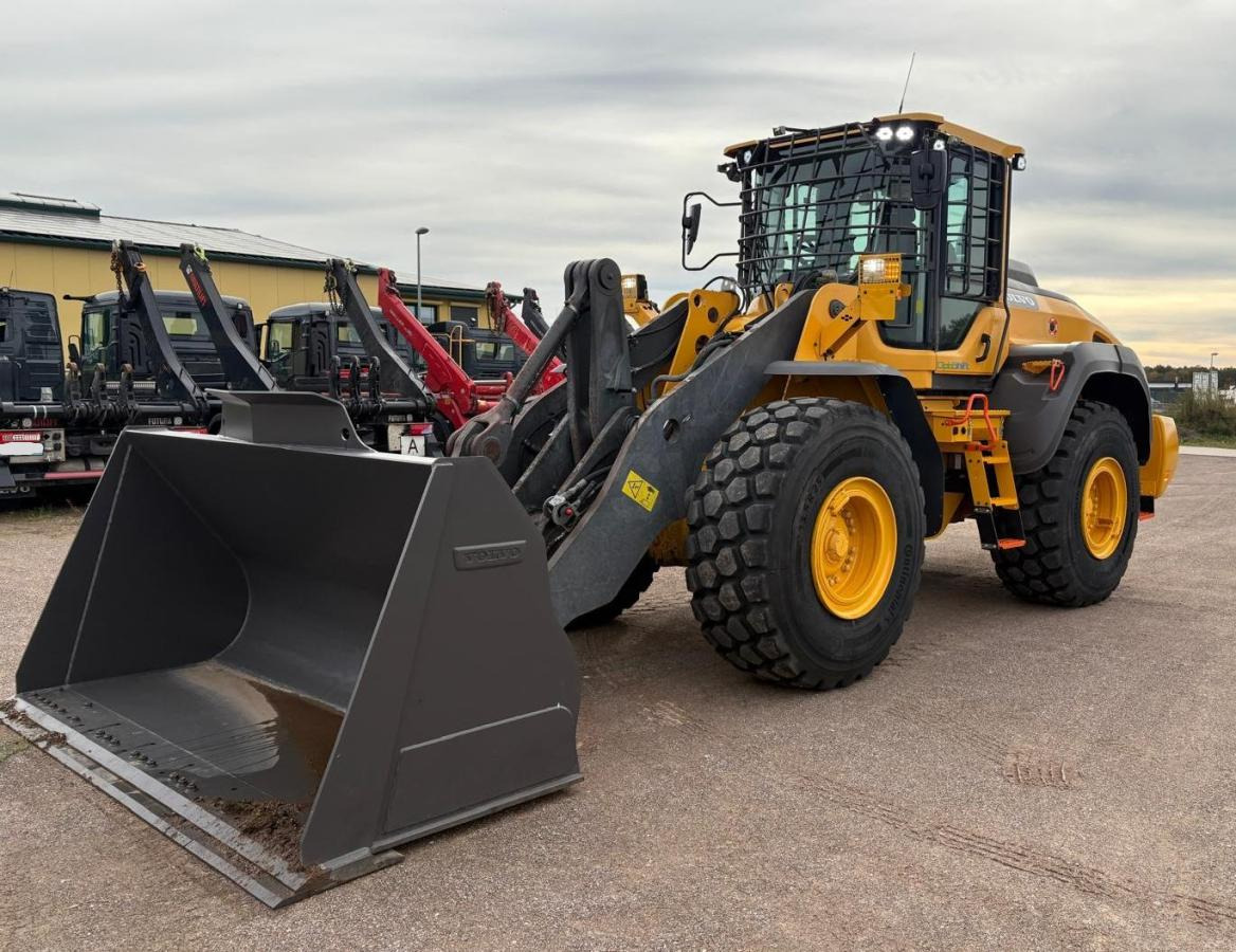 Volvo L110H Long Boom - Máy xúc lật bánh lốp: hình 3 Volvo L110H Long Boom - Máy xúc lật bánh lốp: hình 3