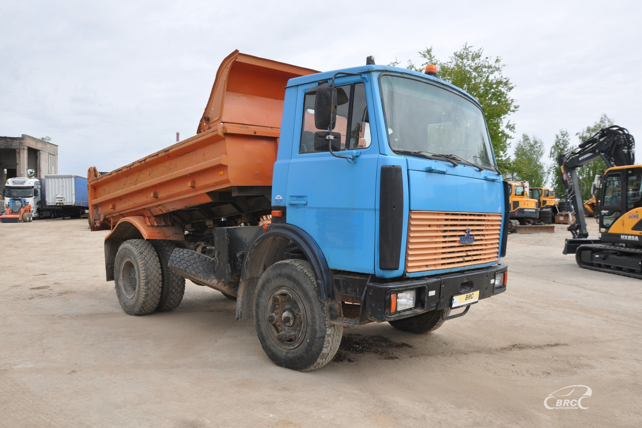 MAZ 5551 - Xe ben: hình 2 MAZ 5551 - Xe ben: hình 2
