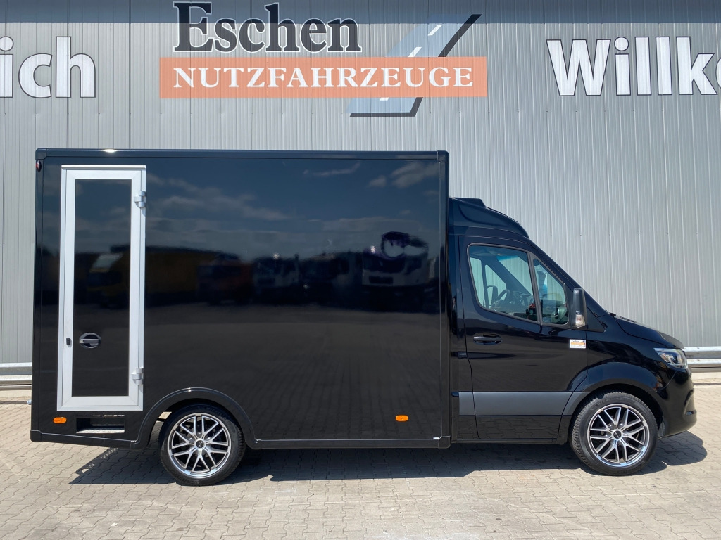 Xe tải nhỏ thùng kín Mercedes-Benz 319 CDI Sprinter: hình 7