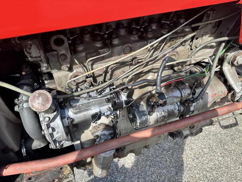 Máy cày Massey Ferguson 165: hình 10