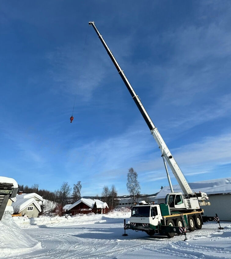 Tadano Faun ATF 100G-4 - Cẩu bánh lốp: hình 2 Tadano Faun ATF 100G-4 - Cẩu bánh lốp: hình 2