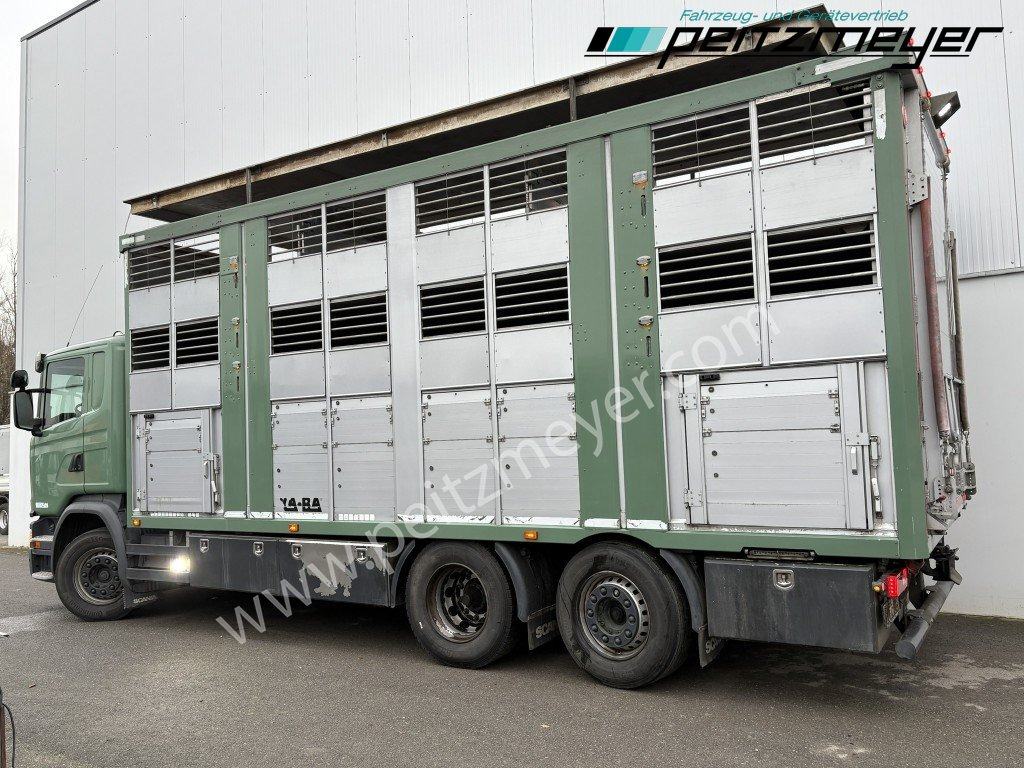 Scania G 450 6x2, Kaba 3-Stock, Hubdach Lenk + Lift, - Xe tải chở gia súc: hình 3 Scania G 450 6x2, Kaba 3-Stock, Hubdach Lenk + Lift, - Xe tải chở gia súc: hình 3