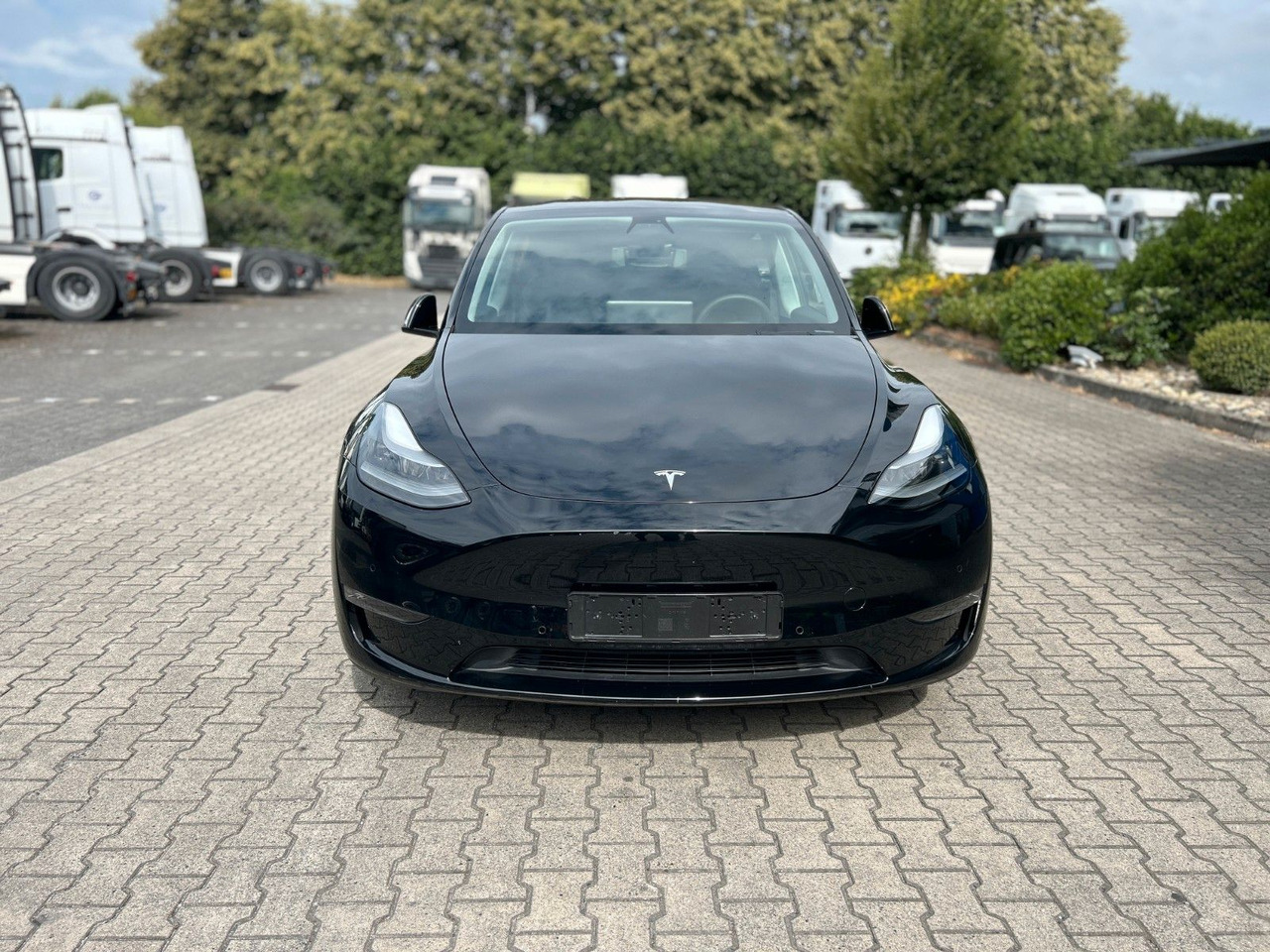 Tesla Model Y Performance Dual AWD - Sedan: hình 2 Tesla Model Y Performance Dual AWD - Sedan: hình 2