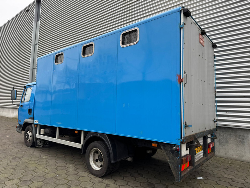 DAF LF45.130 / Horse Truck / 6 Cilinder / Manual Gearbox / Euro 2 / NL Trucks - Xe tải chở gia súc: hình 4 DAF LF45.130 / Horse Truck / 6 Cilinder / Manual Gearbox / Euro 2 / NL Trucks - Xe tải chở gia súc: hình 4