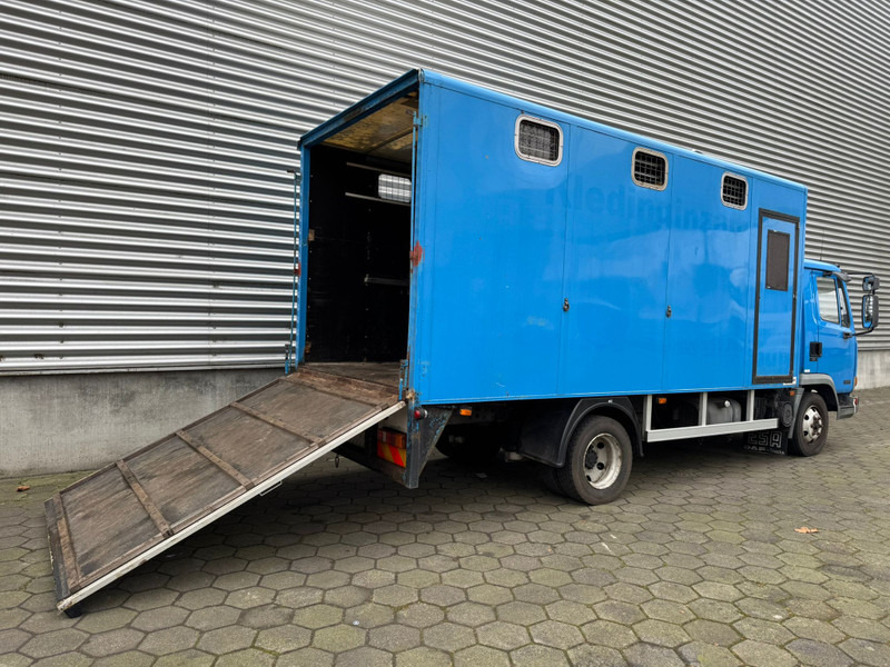 DAF LF45.130 / Horse Truck / 6 Cilinder / Manual Gearbox / Euro 2 / NL Trucks - Xe tải chở gia súc: hình 3 DAF LF45.130 / Horse Truck / 6 Cilinder / Manual Gearbox / Euro 2 / NL Trucks - Xe tải chở gia súc: hình 3