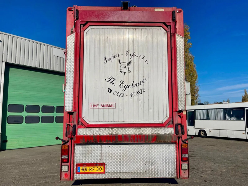 Xe tải chở gia súc DAF XF 95.430 BERDEX 3 decks. Water, fans, Scales! Excellent condition.: hình 10