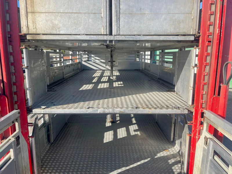 Xe tải chở gia súc DAF XF 95.430 BERDEX 3 decks. Water, fans, Scales! Excellent condition.: hình 17