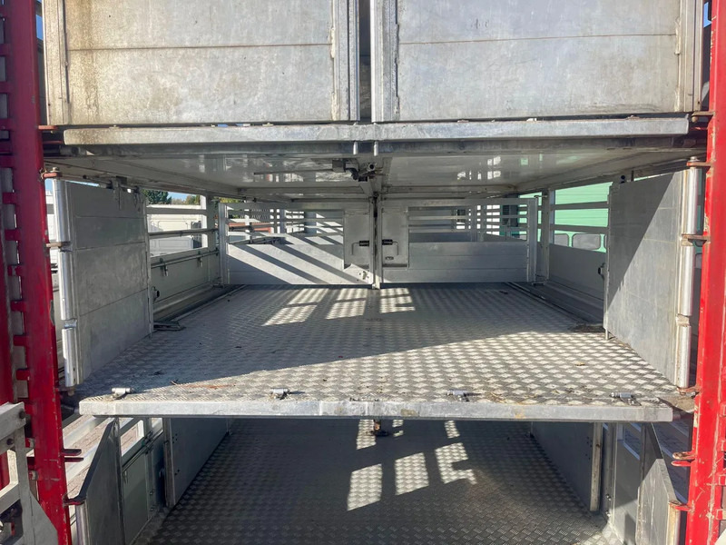 Xe tải chở gia súc DAF XF 95.430 BERDEX 3 decks. Water, fans, Scales! Excellent condition.: hình 18