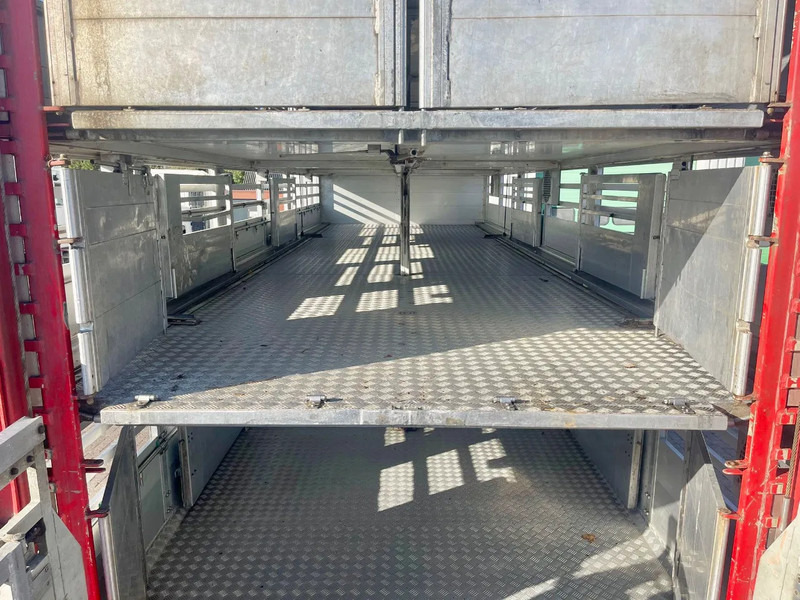 Xe tải chở gia súc DAF XF 95.430 BERDEX 3 decks. Water, fans, Scales! Excellent condition.: hình 19