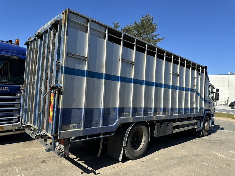 Scania P310 4x2 ANIMAL TRANSPORT - ALU BOX 7m - MANUAL - AIR SUSPENSION - A/C - BELGIAN TRUCK - Xe tải chở gia súc: hình 4 Scania P310 4x2 ANIMAL TRANSPORT - ALU BOX 7m - MANUAL - AIR SUSPENSION - A/C - BELGIAN TRUCK - Xe tải chở gia súc: hình 4