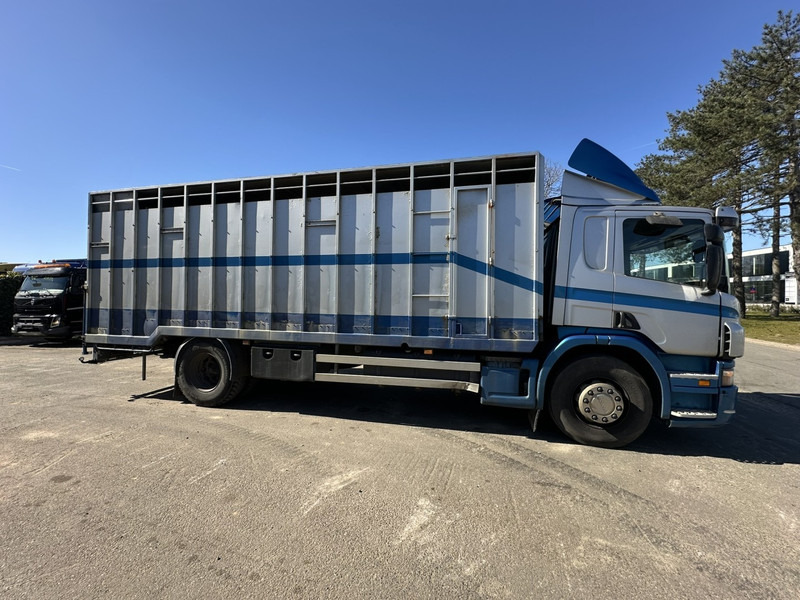 Scania P310 4x2 ANIMAL TRANSPORT - ALU BOX 7m - MANUAL - AIR SUSPENSION - A/C - BELGIAN TRUCK - Xe tải chở gia súc: hình 2 Scania P310 4x2 ANIMAL TRANSPORT - ALU BOX 7m - MANUAL - AIR SUSPENSION - A/C - BELGIAN TRUCK - Xe tải chở gia súc: hình 2