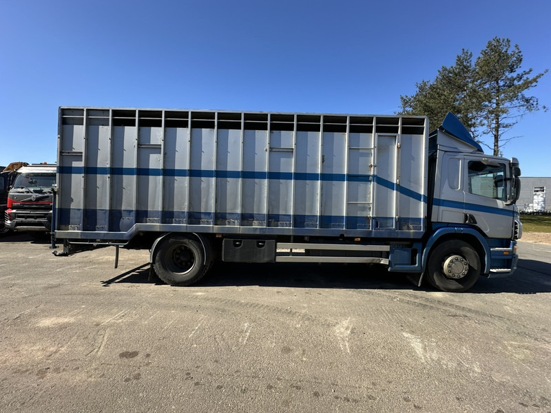 Scania P310 4x2 ANIMAL TRANSPORT - ALU BOX 7m - MANUAL - AIR SUSPENSION - A/C - BELGIAN TRUCK - Xe tải chở gia súc: hình 3 Scania P310 4x2 ANIMAL TRANSPORT - ALU BOX 7m - MANUAL - AIR SUSPENSION - A/C - BELGIAN TRUCK - Xe tải chở gia súc: hình 3