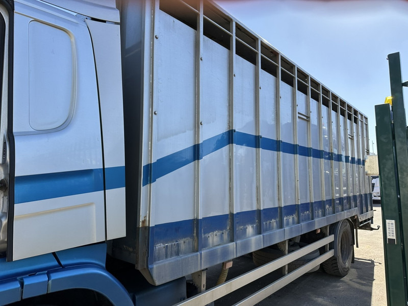 Scania P310 4x2 ANIMAL TRANSPORT - ALU BOX 7m - MANUAL - AIR SUSPENSION - A/C - BELGIAN TRUCK - Xe tải chở gia súc: hình 5 Scania P310 4x2 ANIMAL TRANSPORT - ALU BOX 7m - MANUAL - AIR SUSPENSION - A/C - BELGIAN TRUCK - Xe tải chở gia súc: hình 5