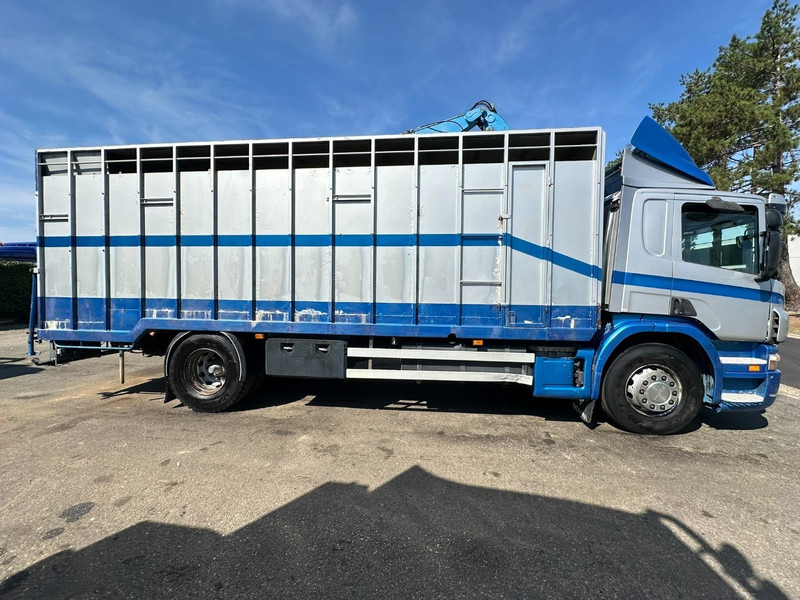 Scania P310 4x2 LIVESTOCK / VEEWAGEN / TIERTRANSPORT / BETAILLERE - ALU BOX 7m - MANUAL - A/C - BELGIAN TRUCK - Xe tải chở gia súc: hình 4 Scania P310 4x2 LIVESTOCK / VEEWAGEN / TIERTRANSPORT / BETAILLERE - ALU BOX 7m - MANUAL - A/C - BELGIAN TRUCK - Xe tải chở gia súc: hình 4