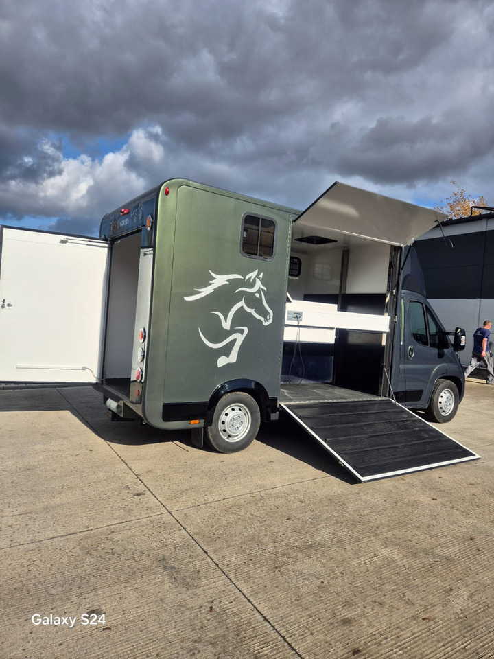 Opel Bannert Koniowoz / Horse Truck / In Stock - Xe tải chở ngựa: hình 3 Opel Bannert Koniowoz / Horse Truck / In Stock - Xe tải chở ngựa: hình 3