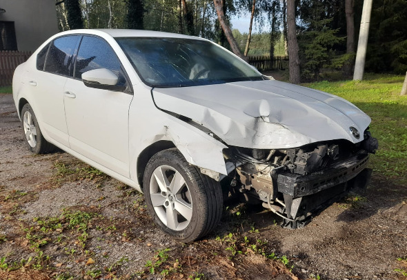 Skoda Octavia - Xe hơi: hình 1 Skoda Octavia - Xe hơi: hình 1