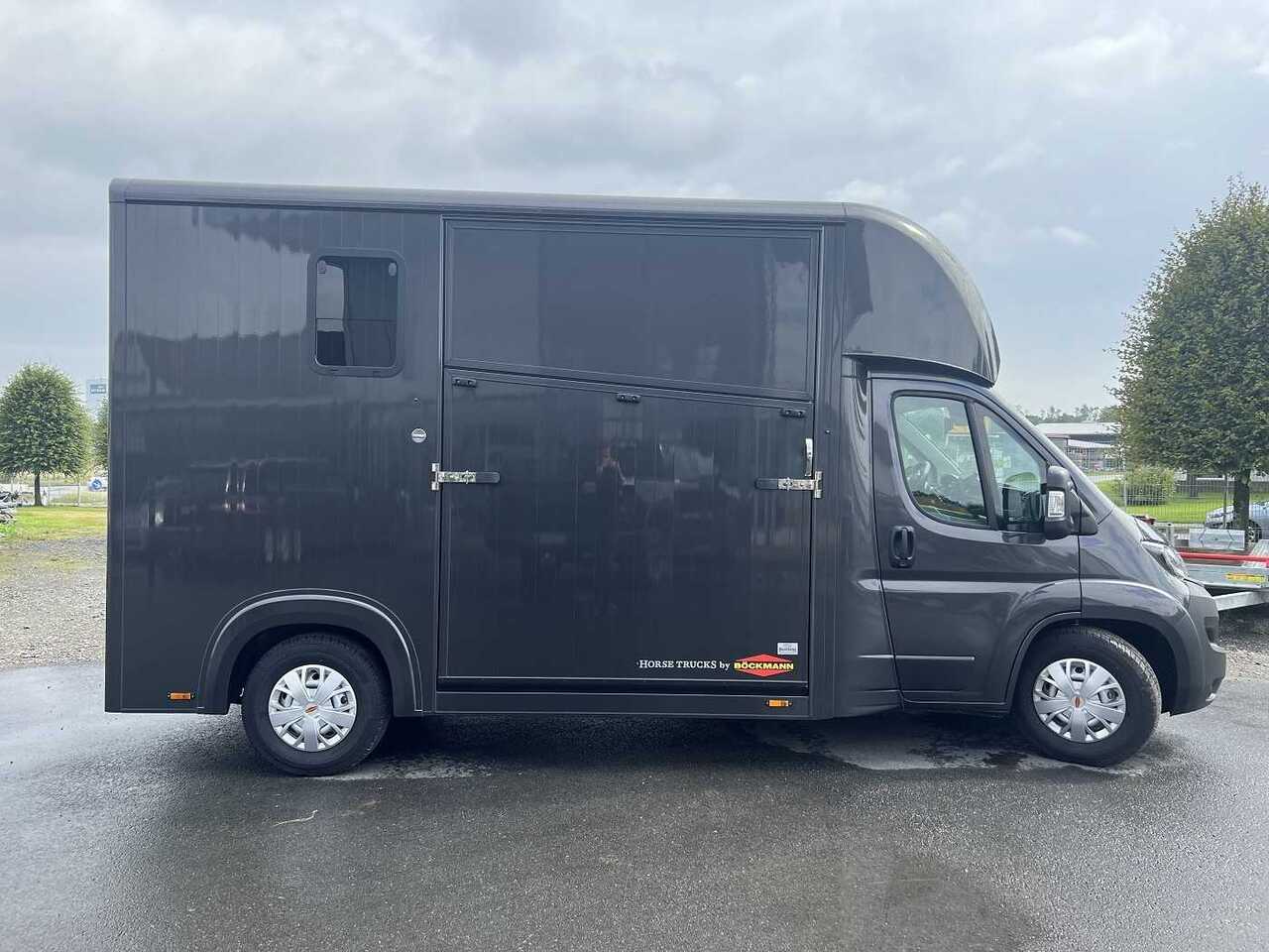 Fiat Böckmann Compact Basic LKW - Xe tải chở ngựa: hình 1 Fiat Böckmann Compact Basic LKW - Xe tải chở ngựa: hình 1