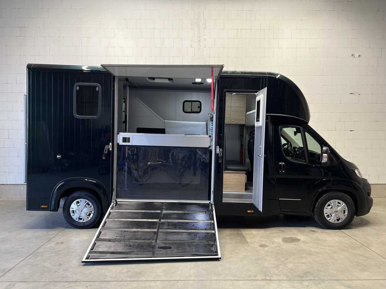 Fiat Böckmann Compact L+ Stall Tour LKW - Xe tải chở ngựa: hình 4 Fiat Böckmann Compact L+ Stall Tour LKW - Xe tải chở ngựa: hình 4