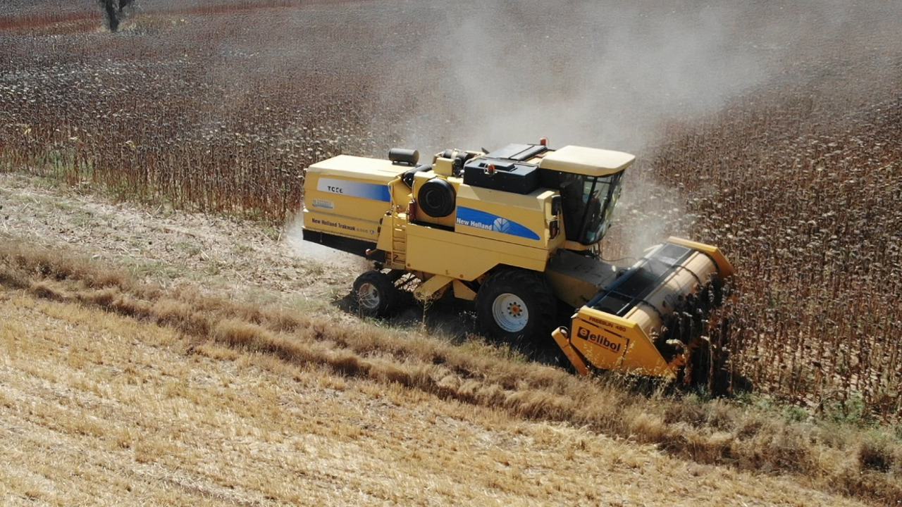 ELİBOL FREESUN 480 ROW INDEPENDENT SUNFLOWER HEADER - Máy gặt hướng dương: hình 5 ELİBOL FREESUN 480 ROW INDEPENDENT SUNFLOWER HEADER - Máy gặt hướng dương: hình 5