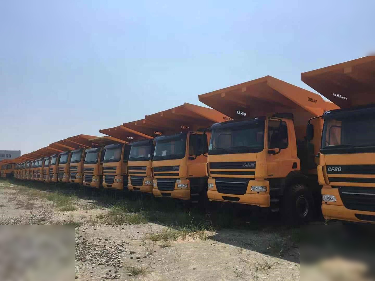 2014 GINAF HD5380T - Xe ben: hình 1 2014 GINAF HD5380T - Xe ben: hình 1