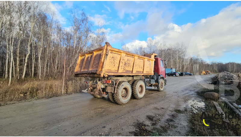 Maz 551669 - Xe ben: hình 4 Maz 551669 - Xe ben: hình 4