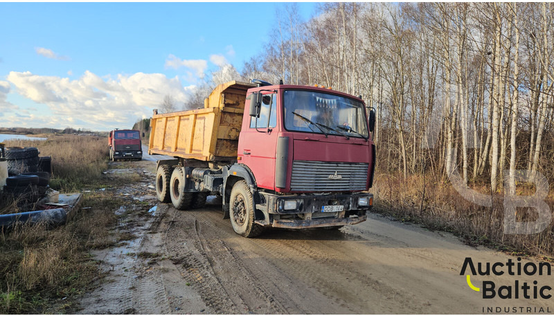 Maz 551669 - Xe ben: hình 2 Maz 551669 - Xe ben: hình 2